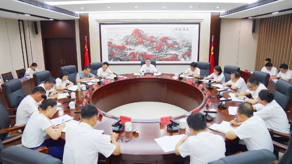 ​全区学习教育民生领域问题整改工作推进会召开